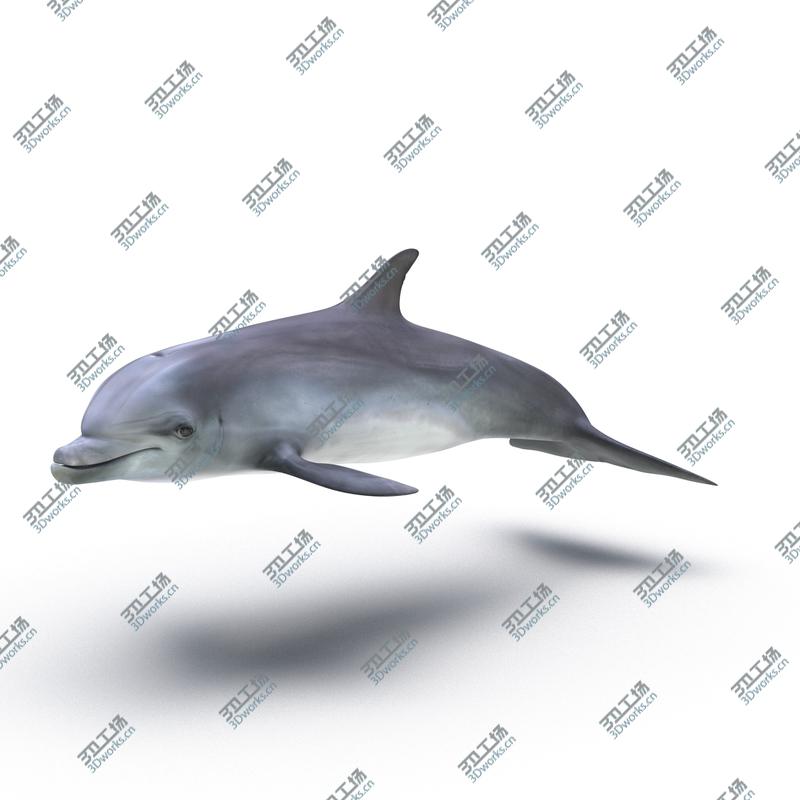 images/goods_img/20210319/Dolphin Rigged/4.jpg